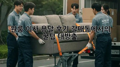 원룸 이사 용달 후기: 갈매동에서의 꿀팁 대방출!