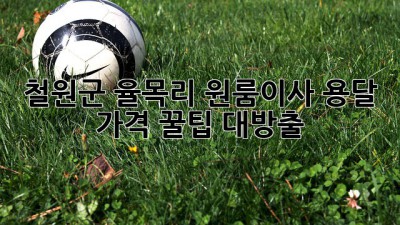 철원군 율목리 원룸이사, 용달 가격 꿀팁 대방출! 🚚💨