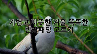 가볍고 따뜻한 겨울, 똑똑한 반팔패딩 고르기