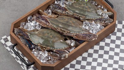 🦀 놓치면 후회! 태안활꽃게 초특가 구매 후기 🦀