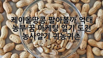 케이올땅콩🥜 팔아볼까? 억대 농부 꿈 마케팅 일기 도전! #농사일기 #귀농귀촌